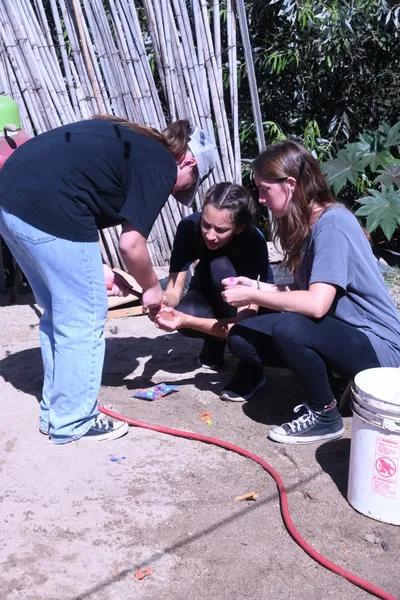 DSC_2043 (Large).JPG